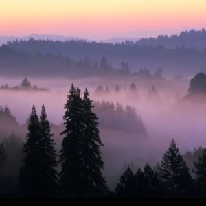 santacruzmountains